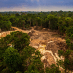 Pemerintah RI Bakal Tertibkan Tambang-tambang Ilegal di Kawasan Hutan