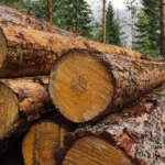 Muncul Isu Deforestasi, Pemerintah RI Telusuri Asal Gelondongan Kayu Terbawa Arus Banjir Sumut