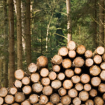 Pemerintah RI Siapkan Regulasi Pemanfaatan Kayu Gelondongan Terbawa Arus Banjir Sumatera