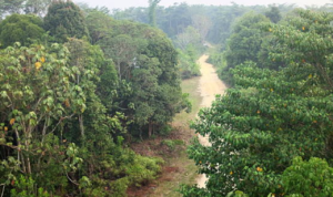 tesso-nilo Zulhas Respon Tudingan Polemik di Tesso Nilo Jadi Pemicu Banjir di Sumatera