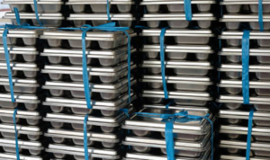 BGN Sebut Guru Hingga OB Berhak Dapat MBG