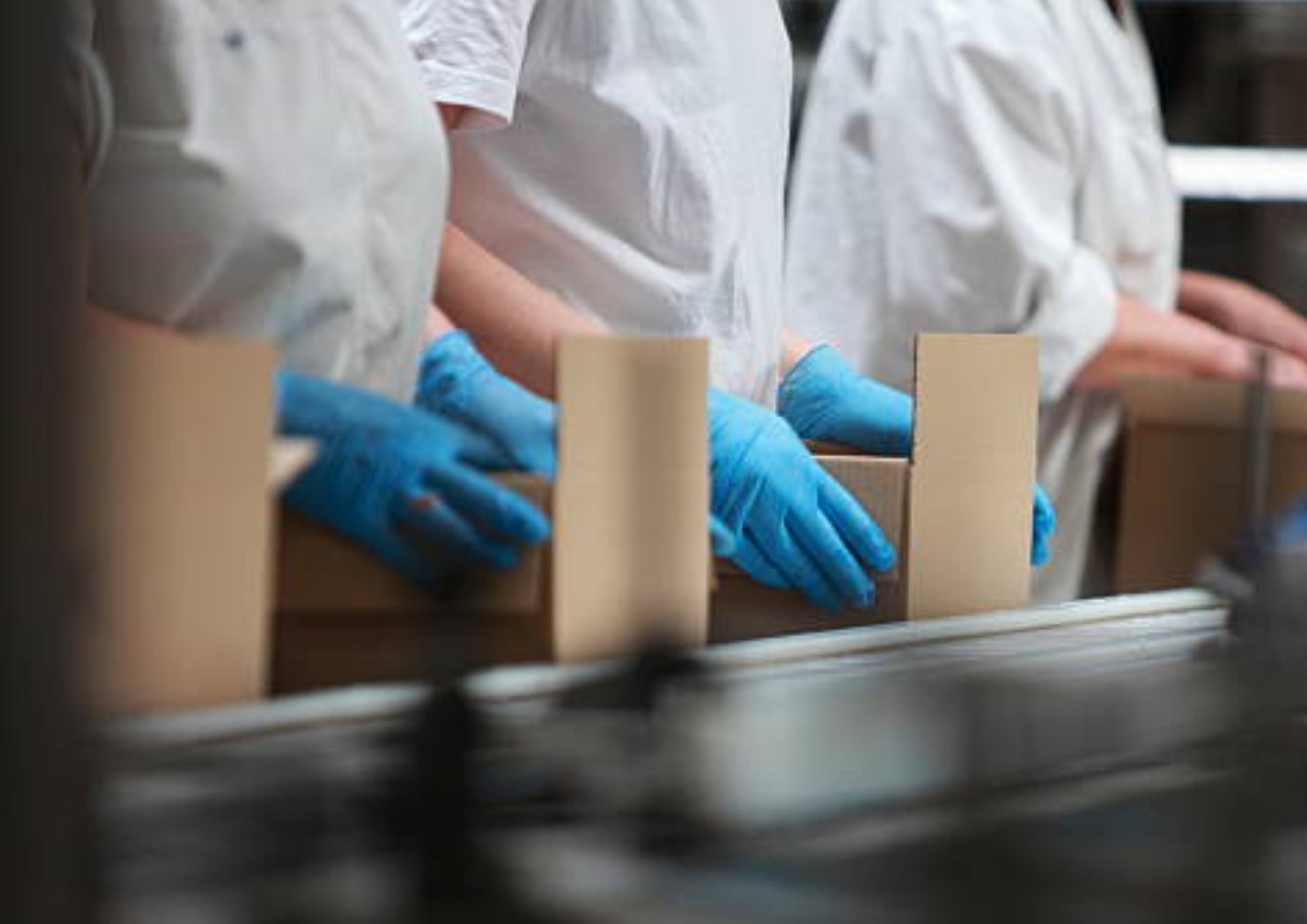 Pegawai SPPG yang Statusnya ASN Bakal Dapat THR