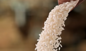 beras-mbg Program MBG Dipastikan Akan Gunakan Beras Berkualitas Premium