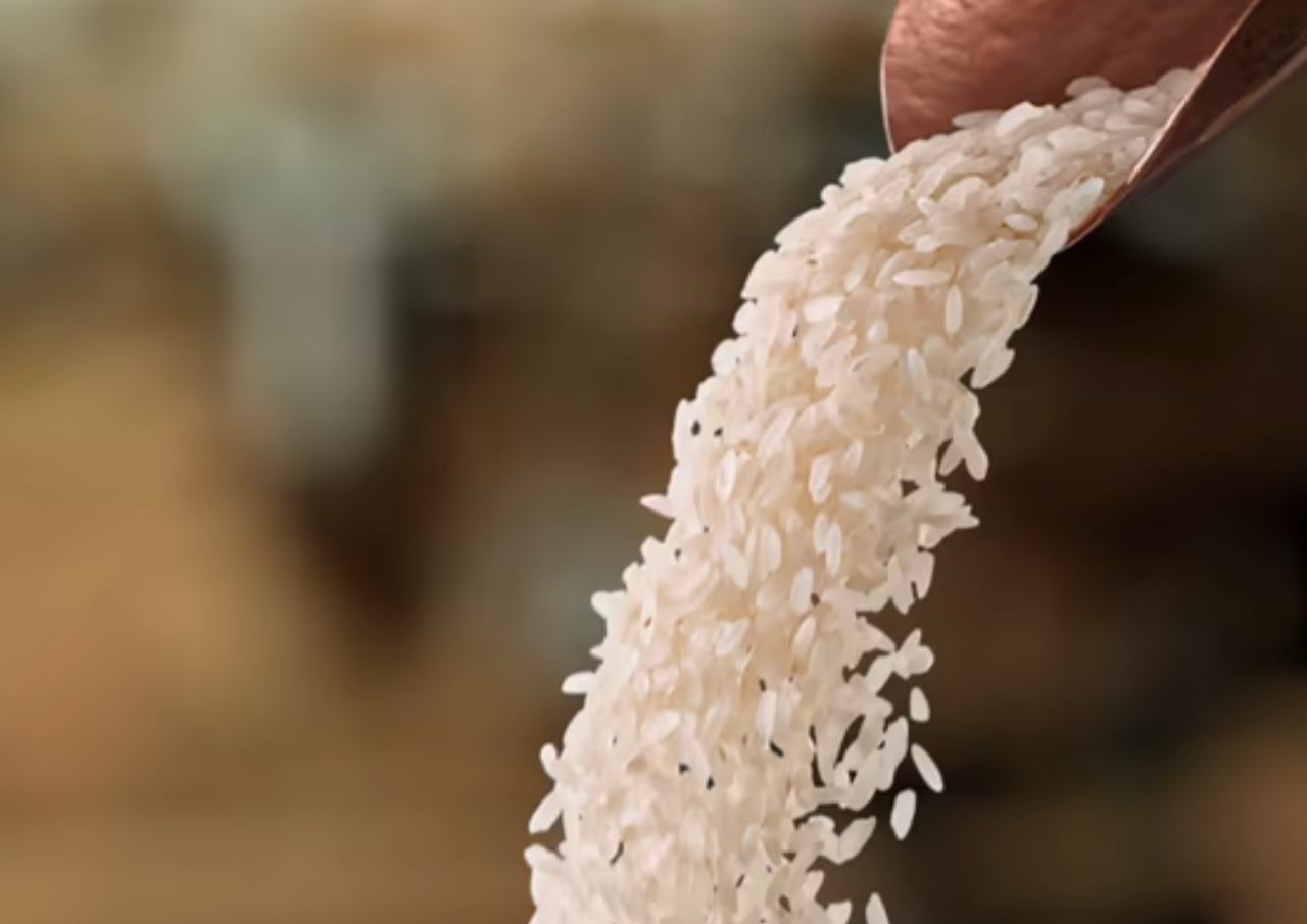 Program MBG Dipastikan Akan Gunakan Beras Berkualitas Premium