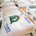 720 Ribu Ton Bantuan Pangan Bakal Digelontorkan Tahun 2026 Ini