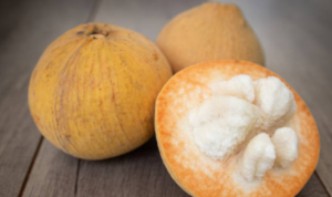 Heboh SPPG di Bogor Hidangkan Buah Kecapi di Program MBG