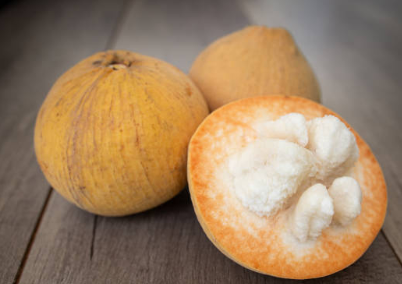 Heboh SPPG di Bogor Hidangkan Buah Kecapi di Program MBG