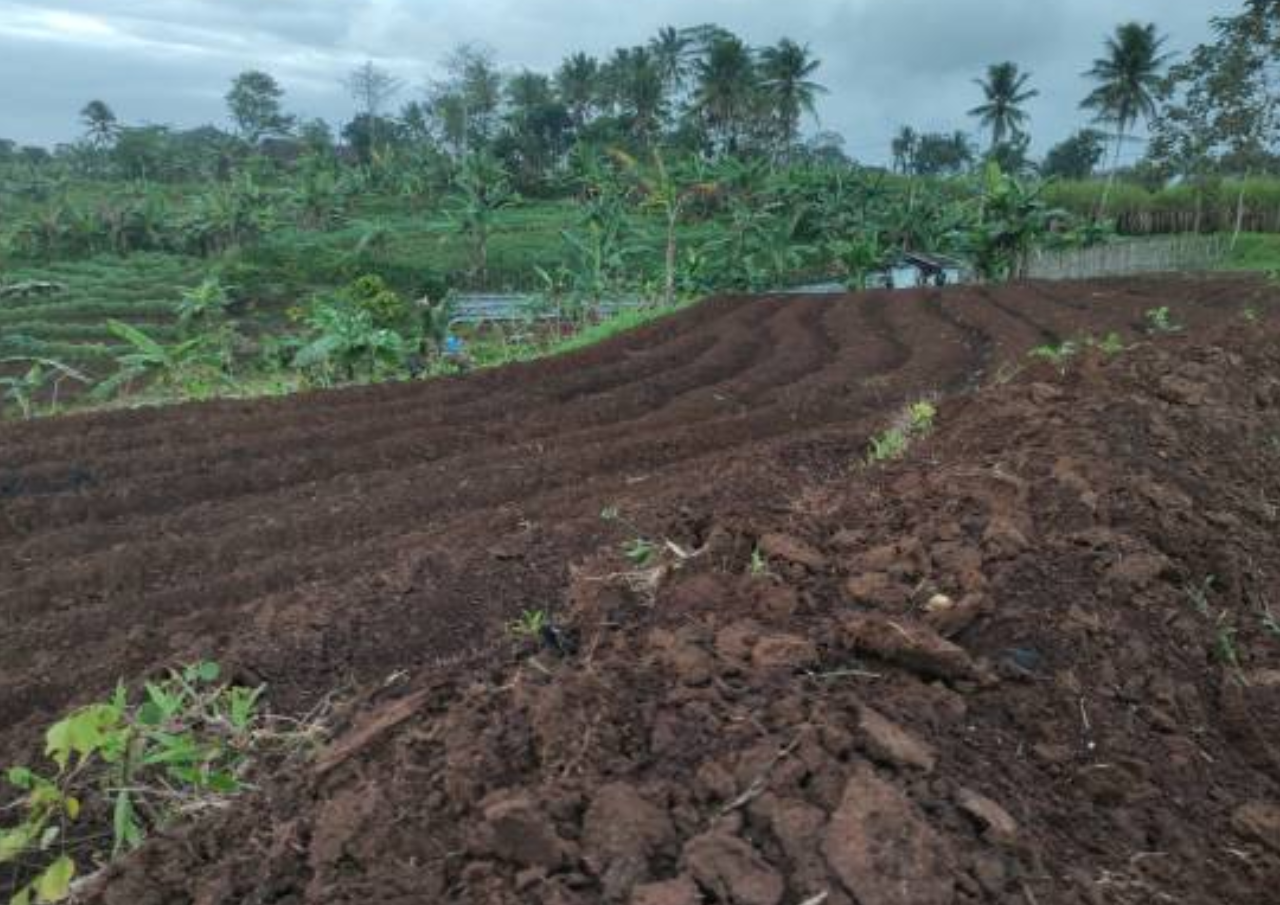 Petani Terdampak Bencana Sumatera Bakal Dapat Gaji Selama Pemulihan Lahan