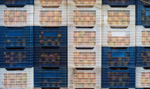 Polri Bangun 18 Gudang Ketahanan Pangan Kapasitas Seribu Ton