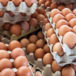 Mendag Buka Suara Soal Isu Lonjakan Harga Daging Ayam dan Telur Jelang Ramadan