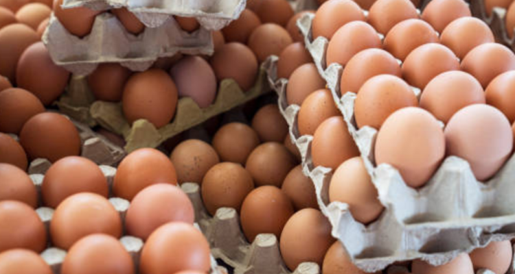 Mendag Buka Suara Soal Isu Lonjakan Harga Daging Ayam dan Telur Jelang Ramadan