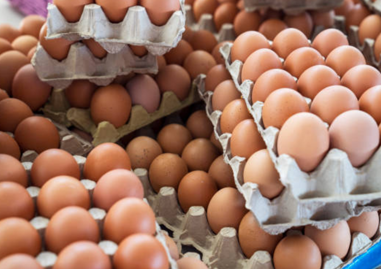 Mendag Buka Suara Soal Isu Lonjakan Harga Daging Ayam dan Telur Jelang Ramadan