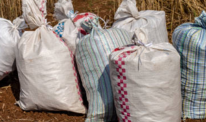 Puluhan Karung Berisi Uang Cacahan di TPS Liar Bekasi Ternyata Limbah dari BI