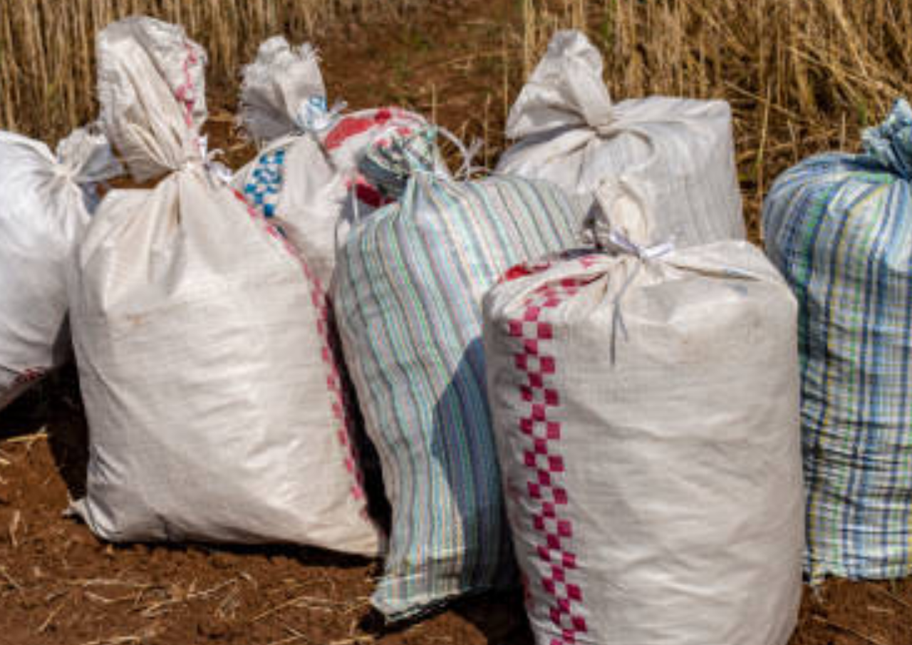 Puluhan Karung Berisi Uang Cacahan di TPS Liar Bekasi Ternyata Limbah dari BI
