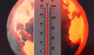 Dampak El Nino Disebut Mulai Terasa Bulan April, Bapanas Siapkan Antisipasi