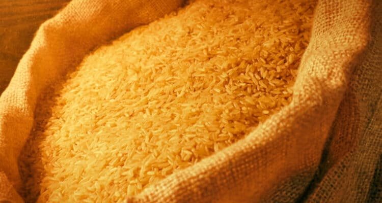Bulog Buka Ruang Negosiasi dengan Malaysia Terkait Ekspor Beras Premium