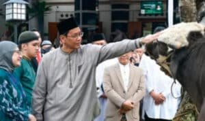 purbaya Menkeu Purbaya Ungkap Tidak Tahu Soal Sapi Kurban Senilai Rp100 Miliar dari APBN