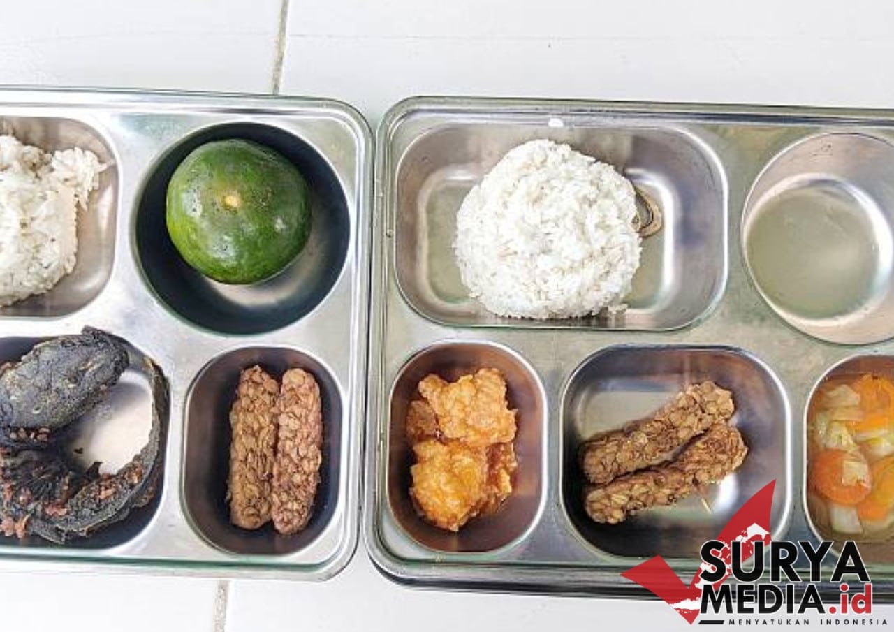 Program MBG untuk Ibu Hamil-Balita Bakal Disetop Sementara