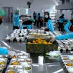Praktik Jual Beli Titik Dapur MBG Sebabkan Pemborosan Anggaran Rp1 T per Bulan