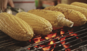 jagung-bakar Viral Video Perkelahian WNA di Kuta Utara Bali, Benar kah karena Jagung Bakar?