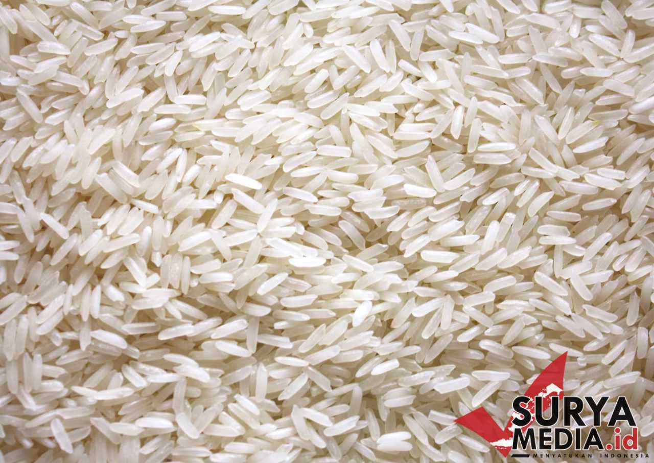 Stok Beras Melimpah Tapi Harga Melonjak, Kenapa?