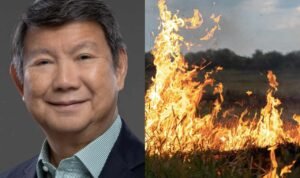 Heboh Lahan Bekas Karhutla Bakal Ditanami Sawit, Adik Prabowo Bantah