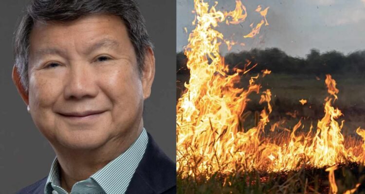 Heboh Lahan Bekas Karhutla Bakal Ditanami Sawit, Adik Prabowo Bantah