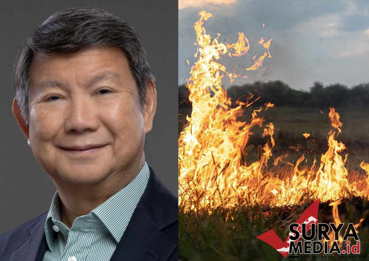 Heboh Lahan Bekas Karhutla Bakal Ditanami Sawit, Adik Prabowo Bantah