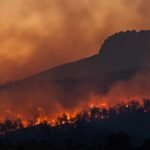 Petugas Pemadam Karhutla di Taman Nasional Bromo Tengger Semeru Gugur Saat Bertugas