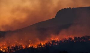 Petugas Pemadam Karhutla di Taman Nasional Bromo Tengger Semeru Gugur Saat Bertugas