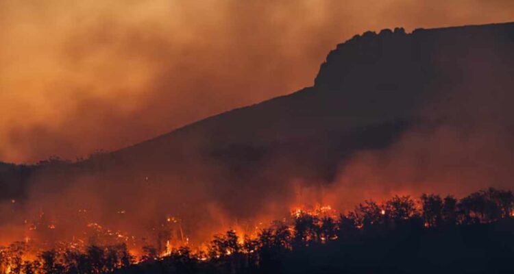 Petugas Pemadam Karhutla di Taman Nasional Bromo Tengger Semeru Gugur Saat Bertugas