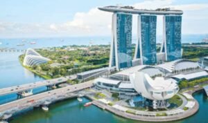 singapura Eks Mendag RI Minta Singapura Periksa Korporasi Berkaitan dengan Bisnis Perkebunan di Indonesia